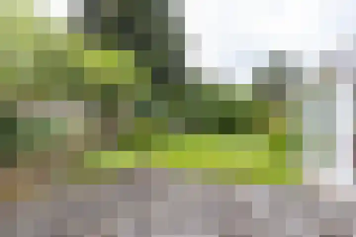Soltstede 16 Vries thumbnail 48