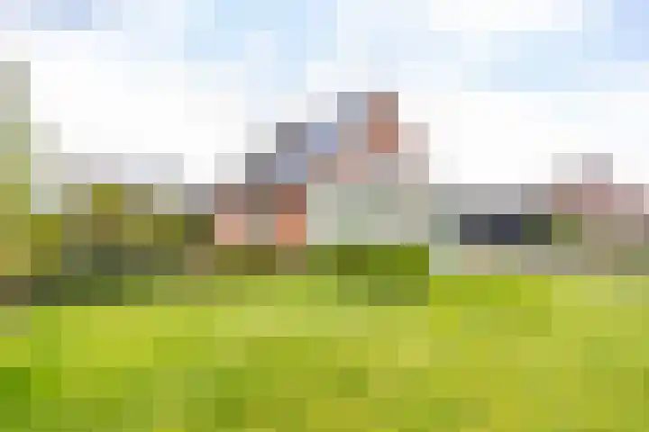 Soltstede 16 Vries thumbnail 5