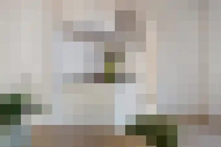 Solwerderstraat 38 a Appingedam thumbnail 19