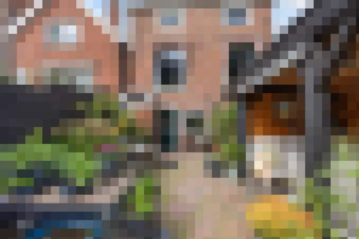 Solwerderstraat 66 Appingedam thumbnail 62