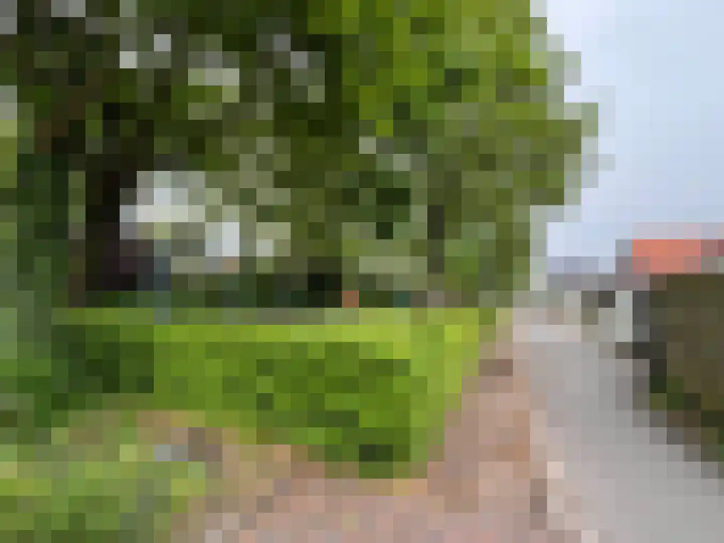 Solwerderstraat 81 Appingedam thumbnail 32