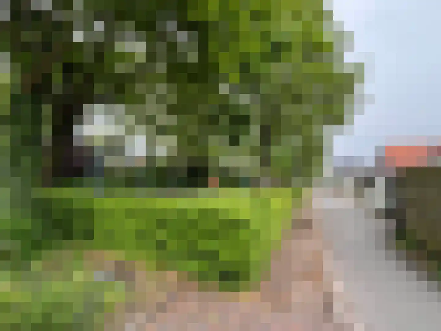 Solwerderstraat 81 Appingedam thumbnail 32