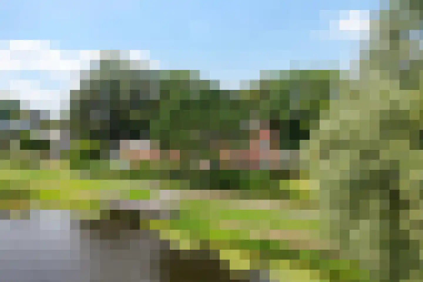 Solwerderweg 42 Appingedam thumbnail 8