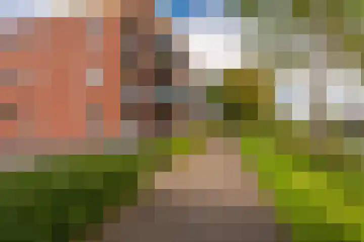 Solwerderweg 8 Appingedam thumbnail 11