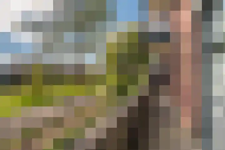 Solwerderweg 8 Appingedam thumbnail 31