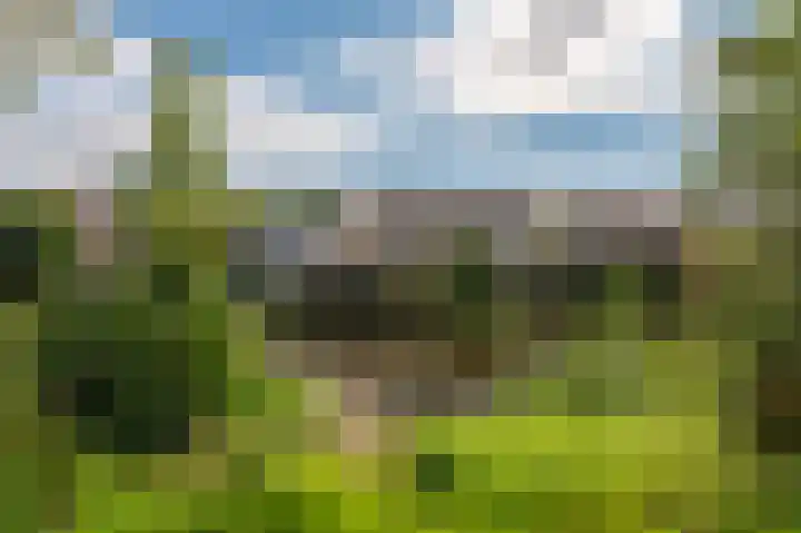 Solwerderweg 8 Appingedam thumbnail 32