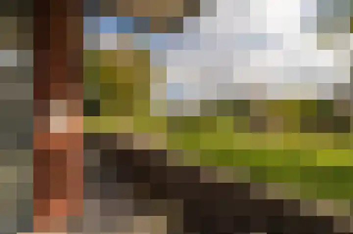 Solwerderweg 8 Appingedam thumbnail 33