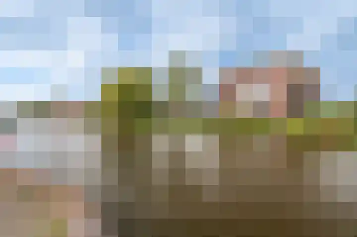 Solwerderweg 8 Appingedam thumbnail 7