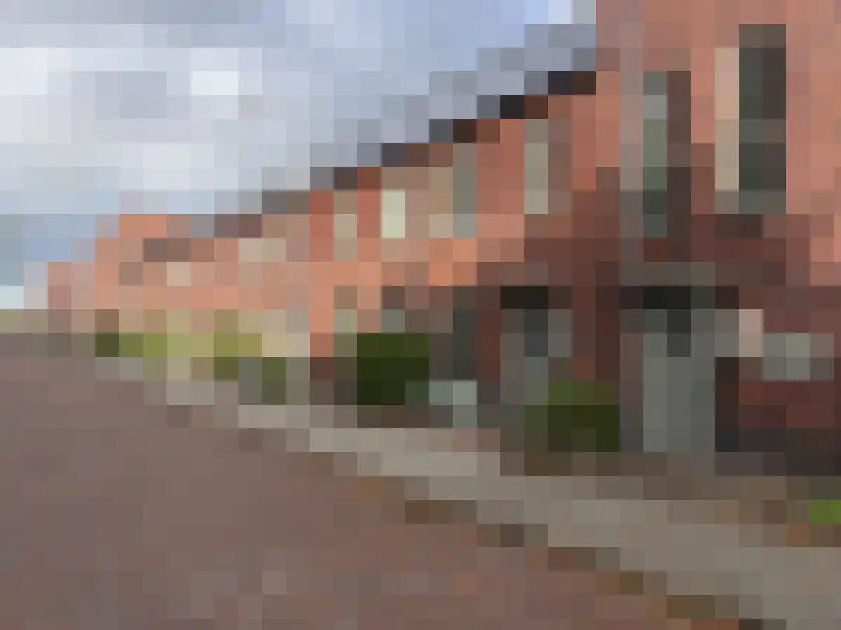 Somahof 91 Ede foto 3