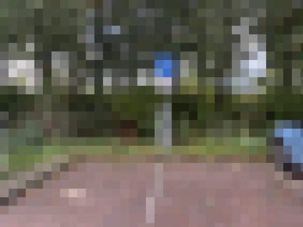 Somahof 91 Ede thumbnail 5