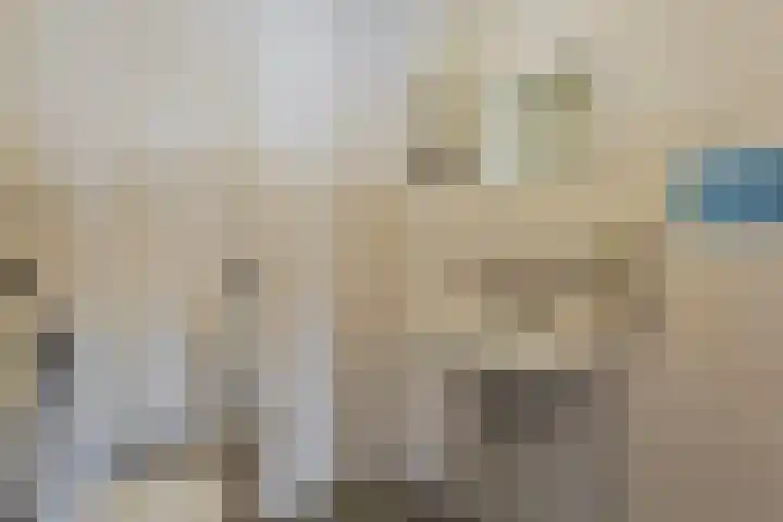 Somerenseweg 1 Lierop thumbnail 15