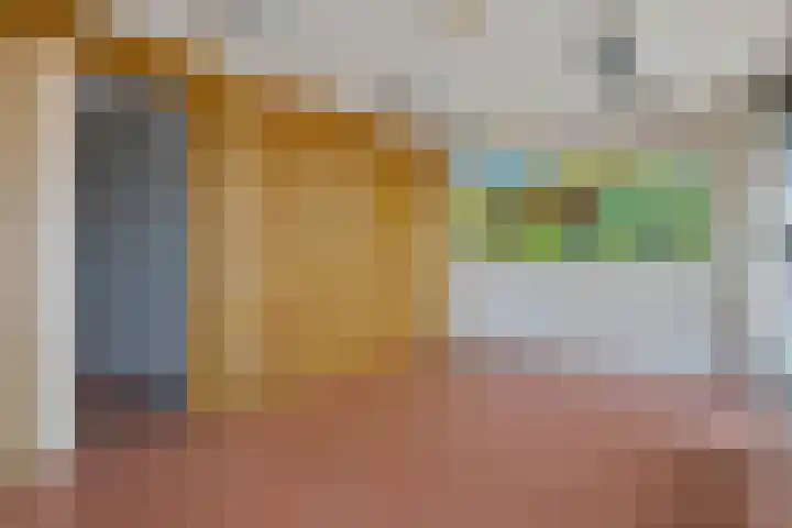 Somerenseweg 1 Lierop thumbnail 7