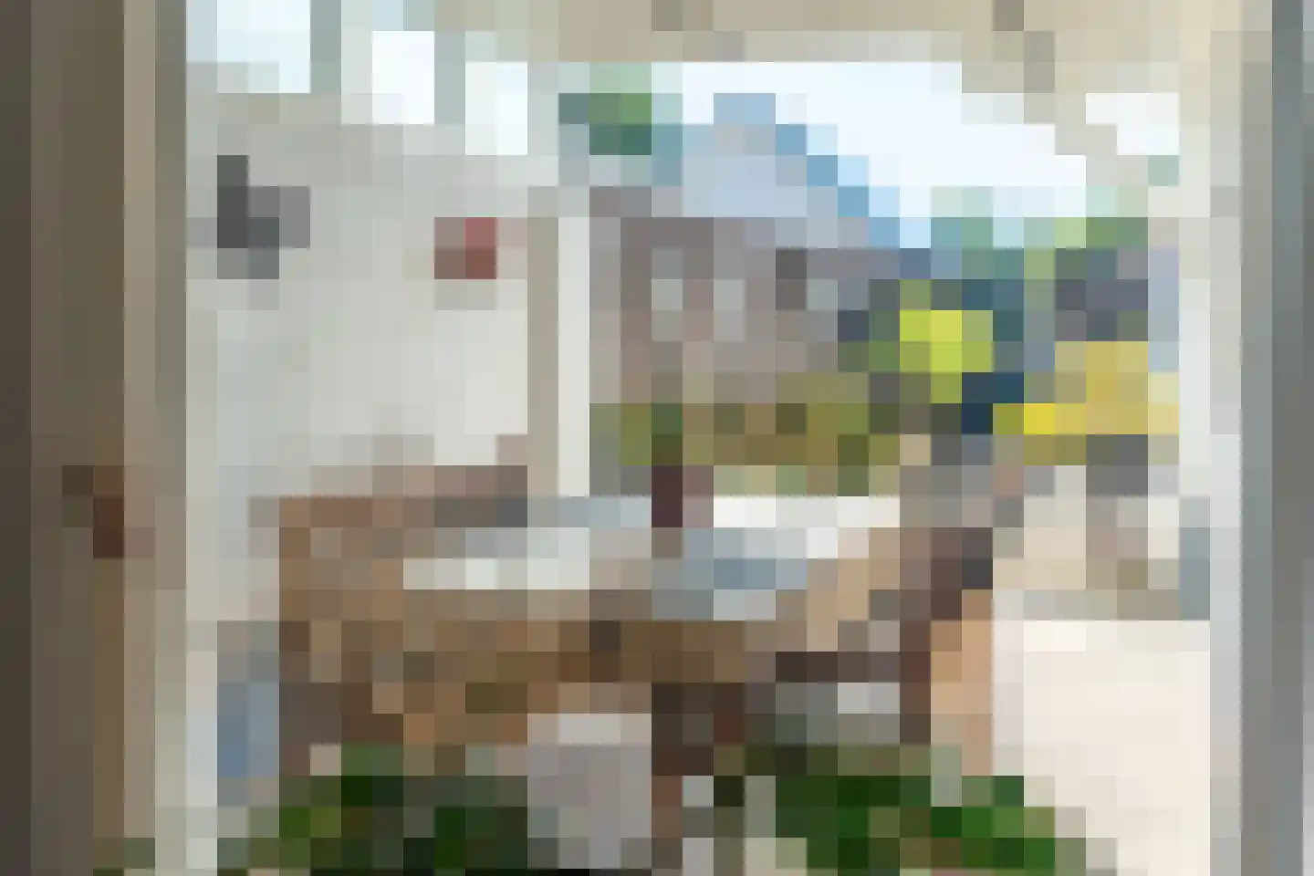Somerenseweg 48 Heeze thumbnail 12