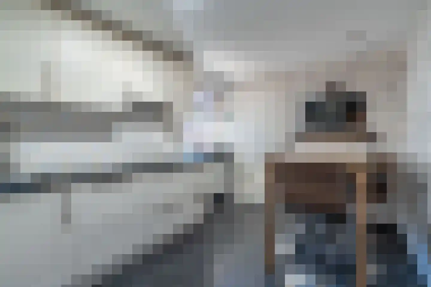 Somerenseweg 48 Heeze thumbnail 16