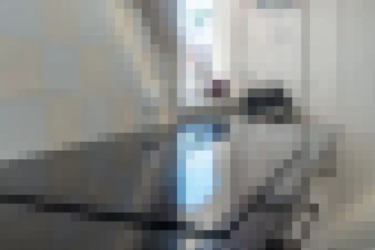 Somerenseweg 48 Heeze thumbnail 19