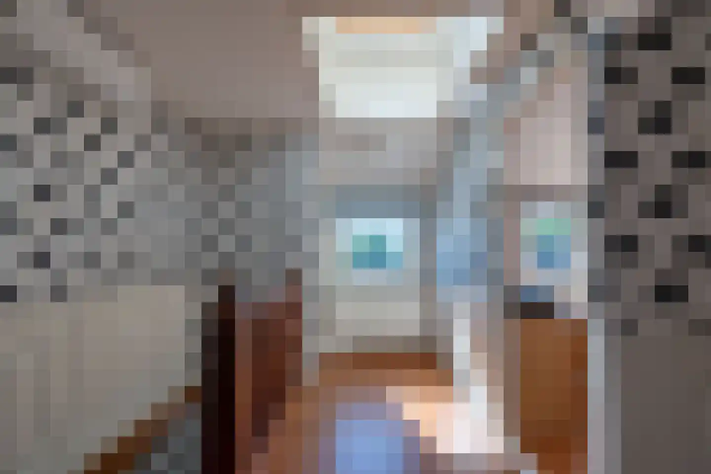 Somerenseweg 48 Heeze thumbnail 27