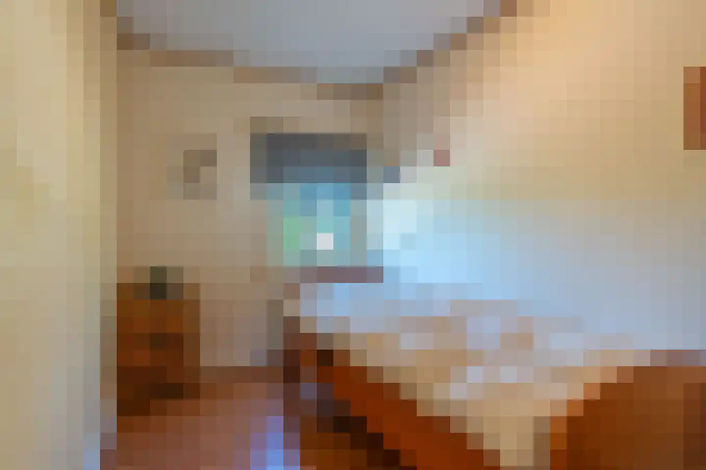 Somerenseweg 48 Heeze thumbnail 33