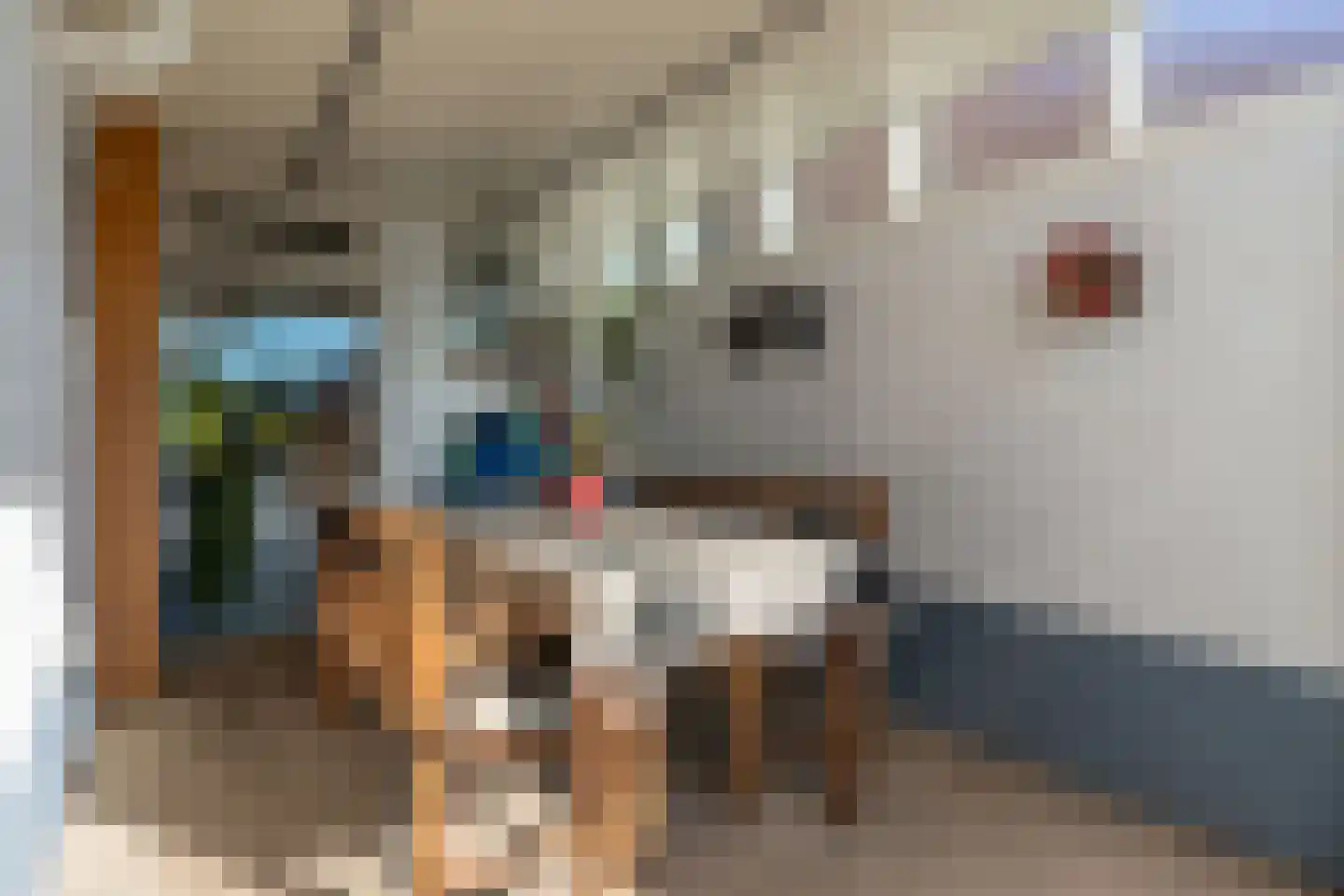 Somerenseweg 48 Heeze thumbnail 35