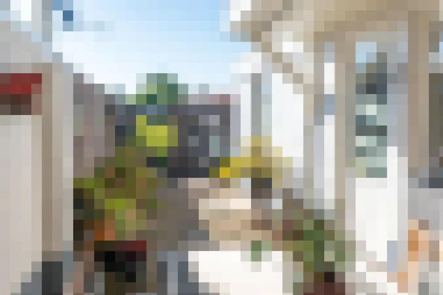Somerenseweg 48 Heeze thumbnail 36
