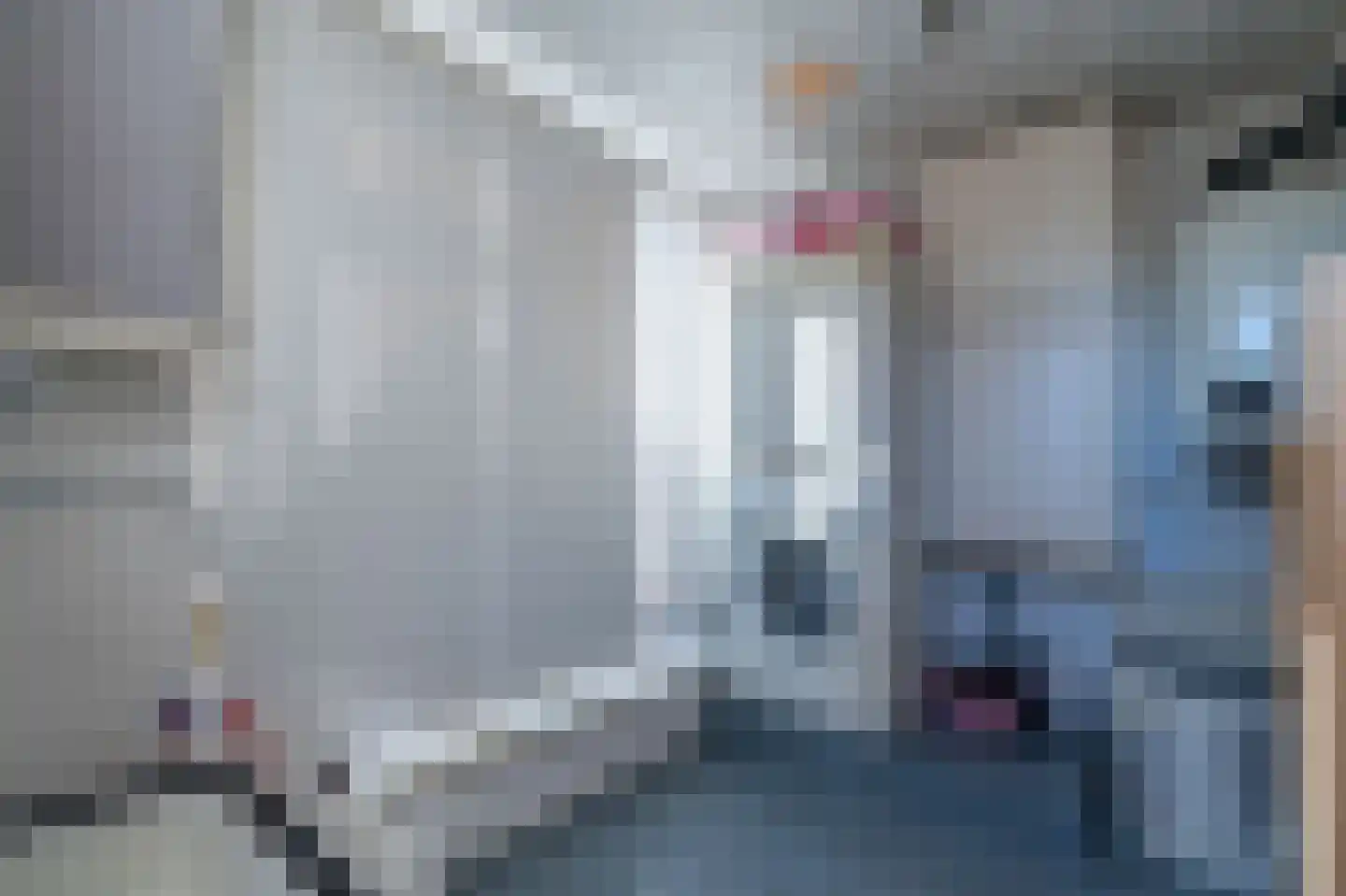 Somerenseweg 48 Heeze thumbnail 37