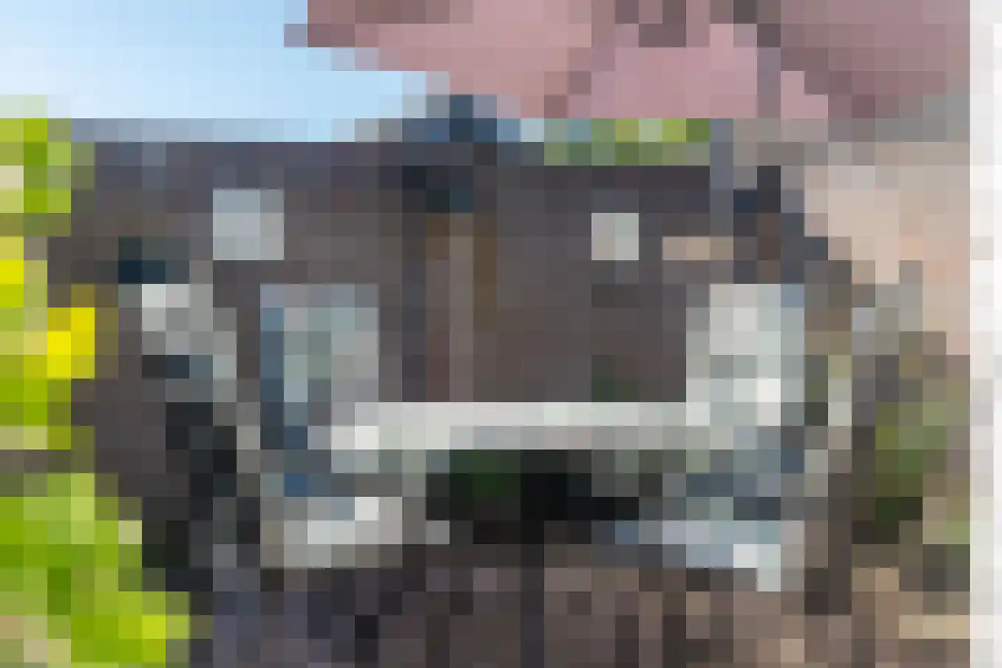 Somerenseweg 48 Heeze thumbnail 38