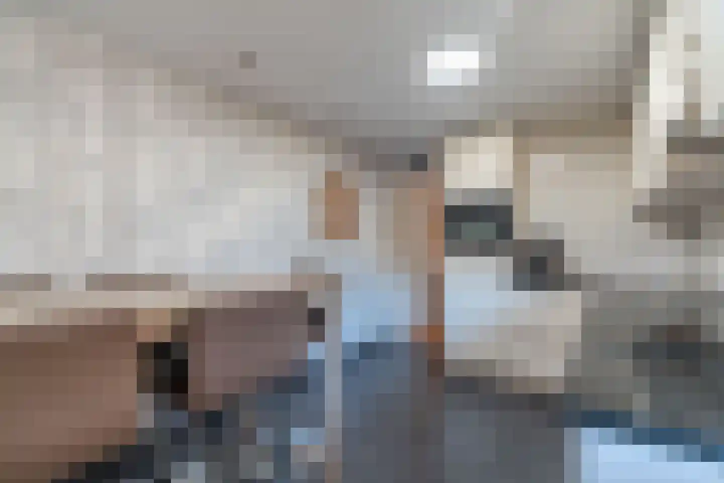 Somerenseweg 48 Heeze thumbnail 4