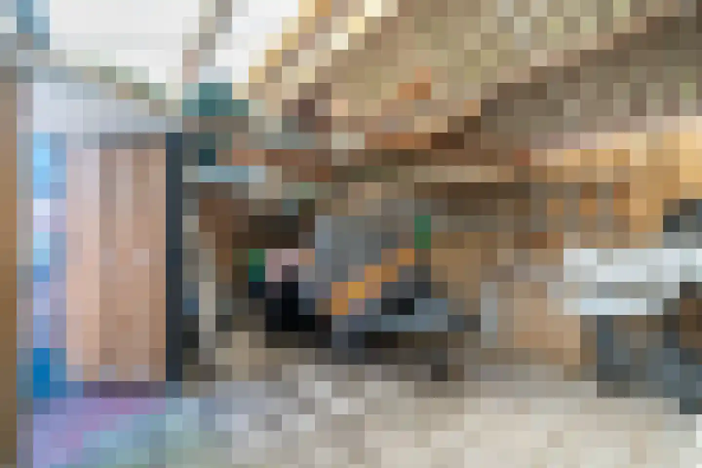 Somerenseweg 48 Heeze thumbnail 43