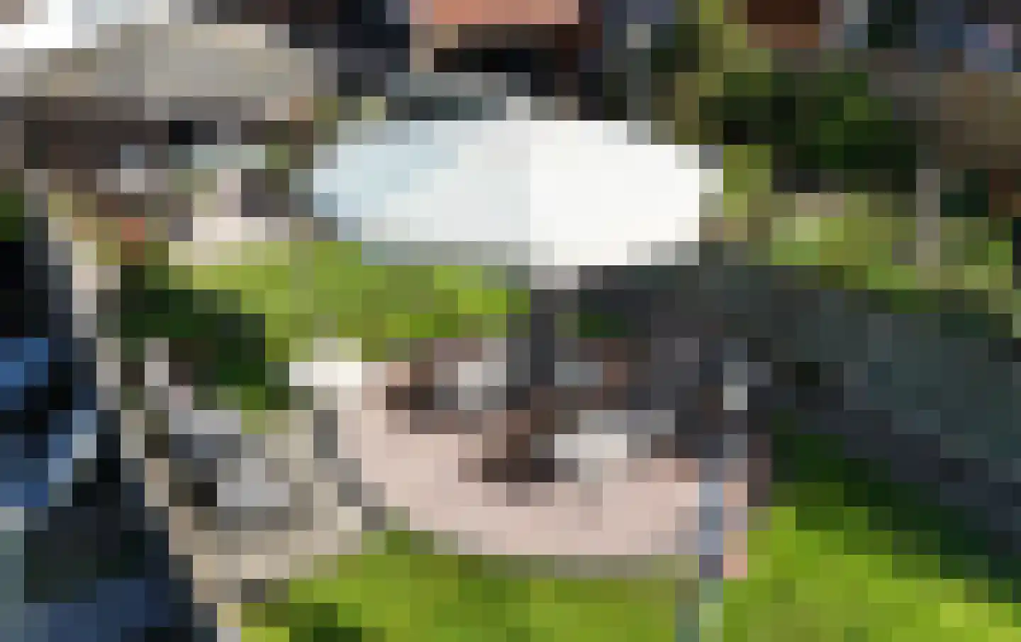 Somerenseweg 48 Heeze thumbnail 46