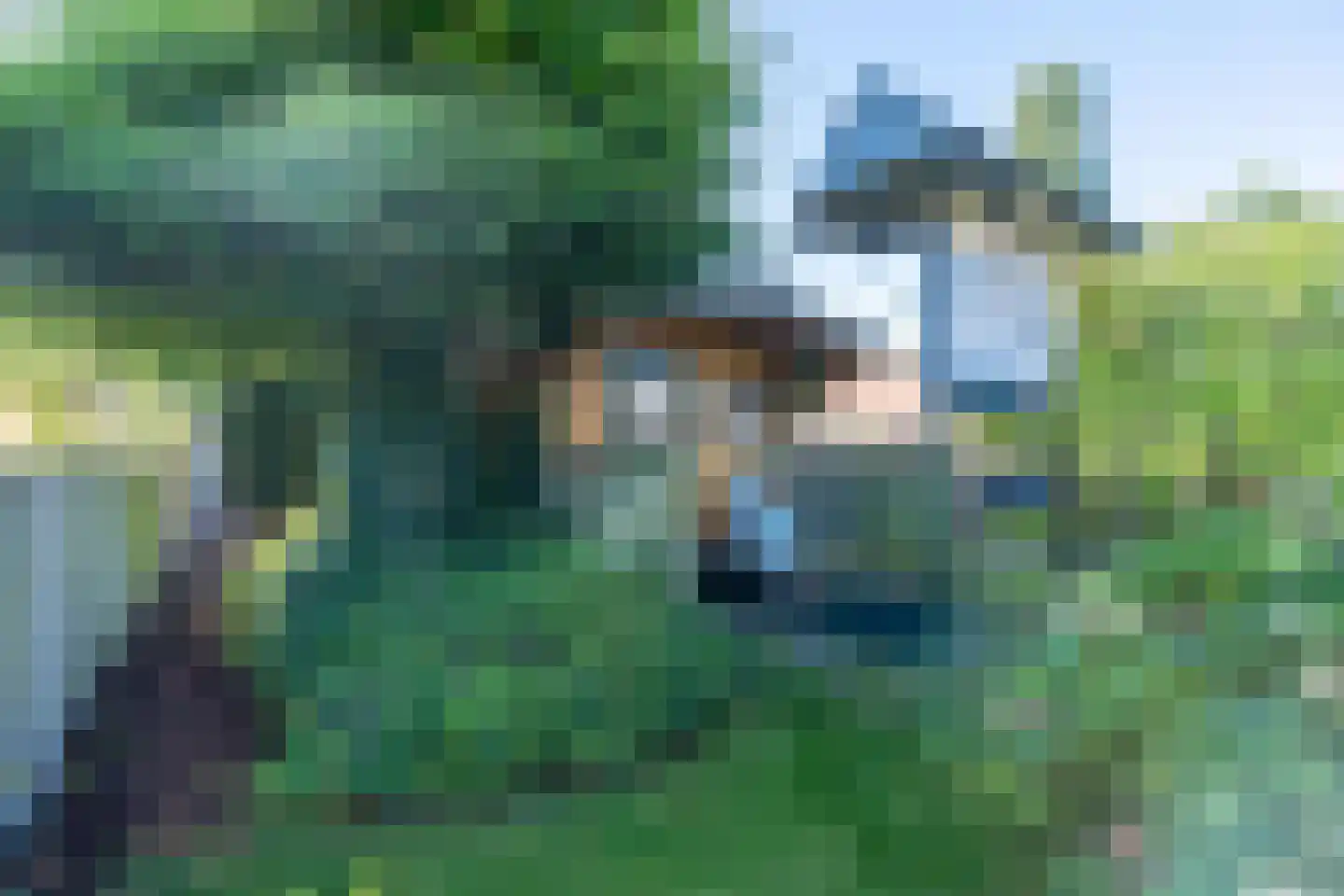 Somerenseweg 48 Heeze thumbnail 49