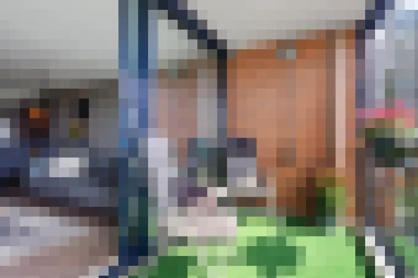 Somerset 25 Hengelo thumbnail 16