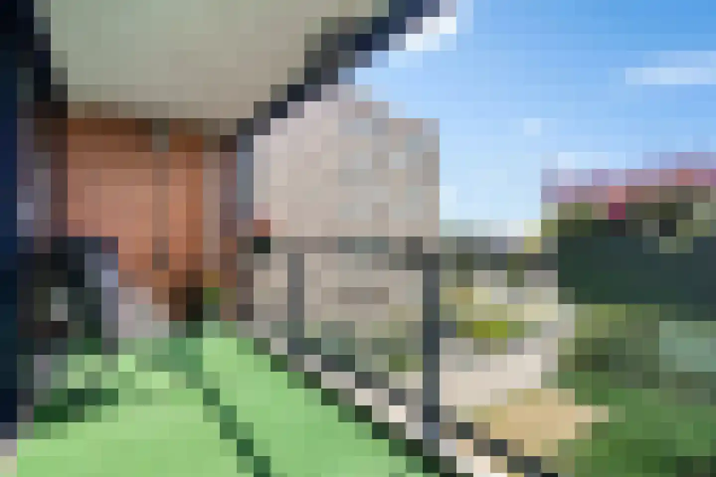 Somerset 25 Hengelo thumbnail 18