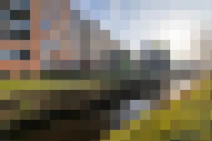 Somerset 71 Hengelo thumbnail 5