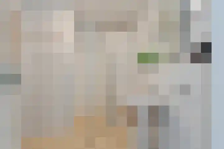 Somerset 83 Hengelo thumbnail 31