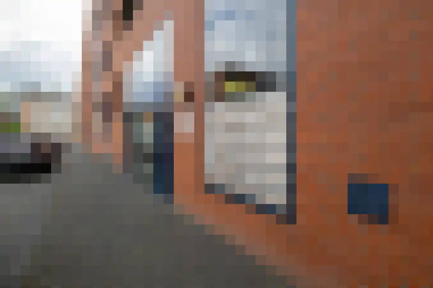 Somerset 89 Hengelo thumbnail 38