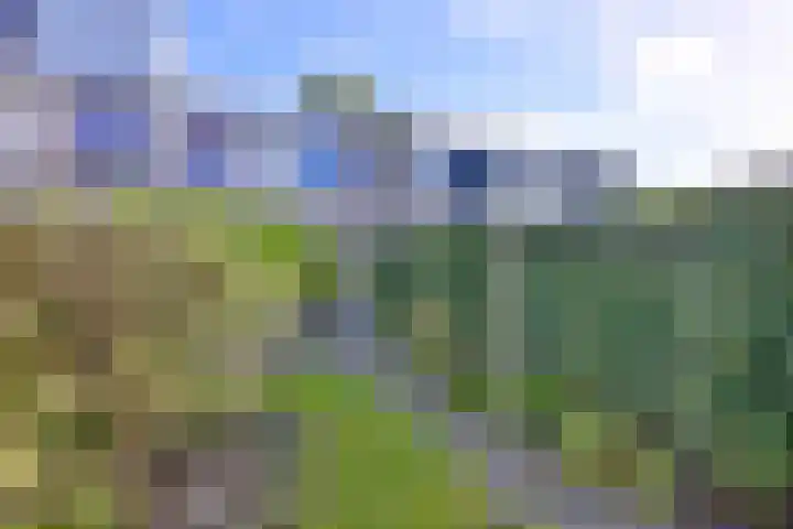 Somervaart 18 Deventer thumbnail 9