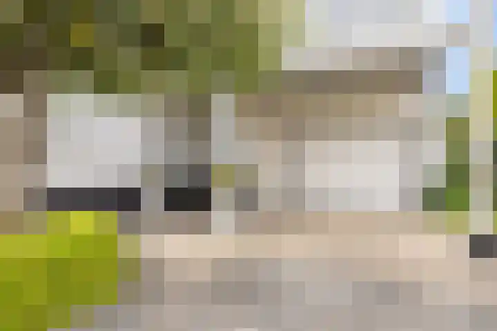 Sommelaan 5 Eindhoven thumbnail 10