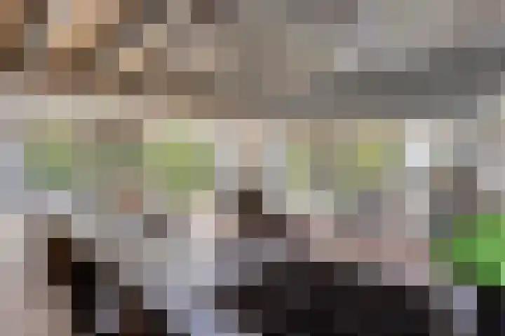 Sommelaan 5 Eindhoven thumbnail 33