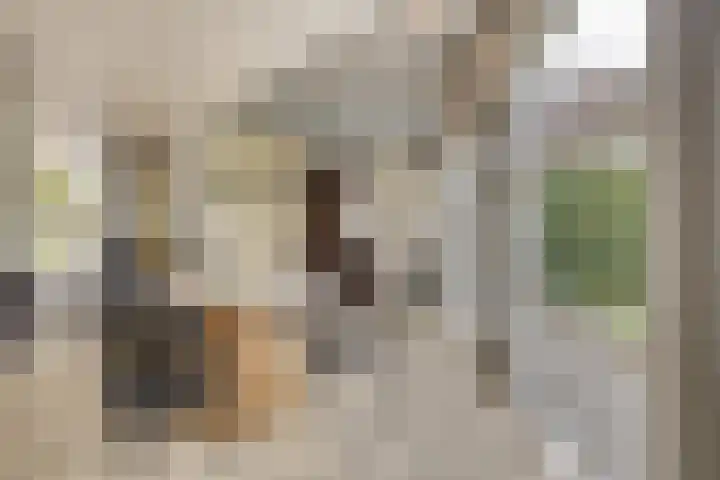 Sommelaan 5 Eindhoven thumbnail 34