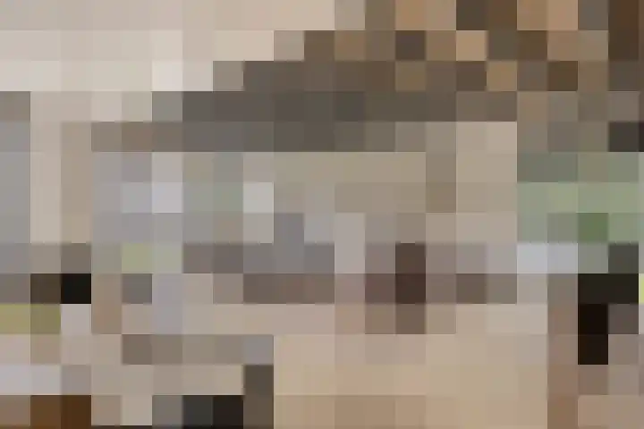 Sommelaan 5 Eindhoven thumbnail 35