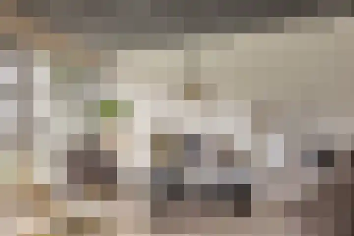 Sommelaan 5 Eindhoven thumbnail 37