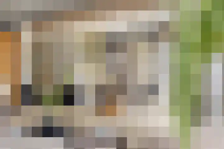 Sommelaan 5 Eindhoven thumbnail 40