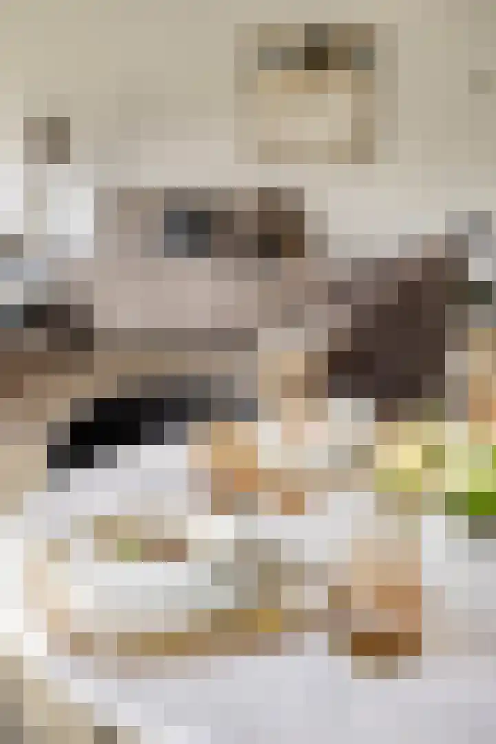 Sommelaan 5 Eindhoven thumbnail 46