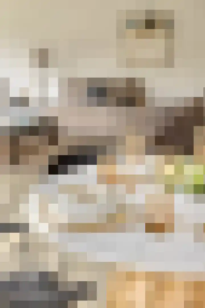 Sommelaan 5 Eindhoven thumbnail 47