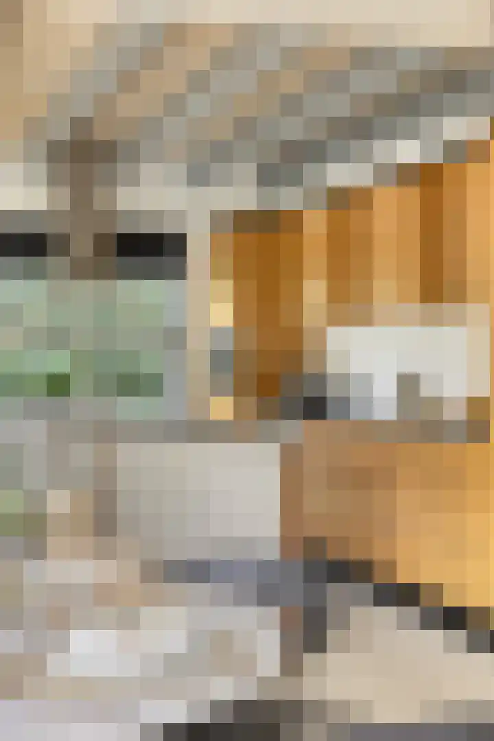 Sommelaan 5 Eindhoven thumbnail 48