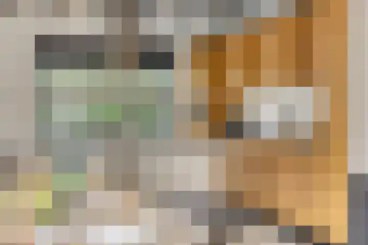 Sommelaan 5 Eindhoven thumbnail 49