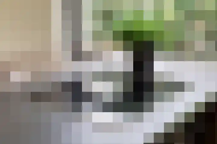 Sommelaan 5 Eindhoven thumbnail 51