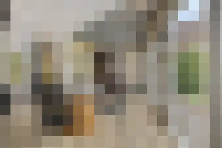 Sommelaan 5 Eindhoven thumbnail 54