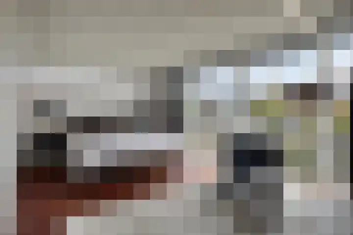 Sommelaan 5 Eindhoven thumbnail 69