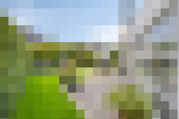 Sommelaan 5 Eindhoven thumbnail 88