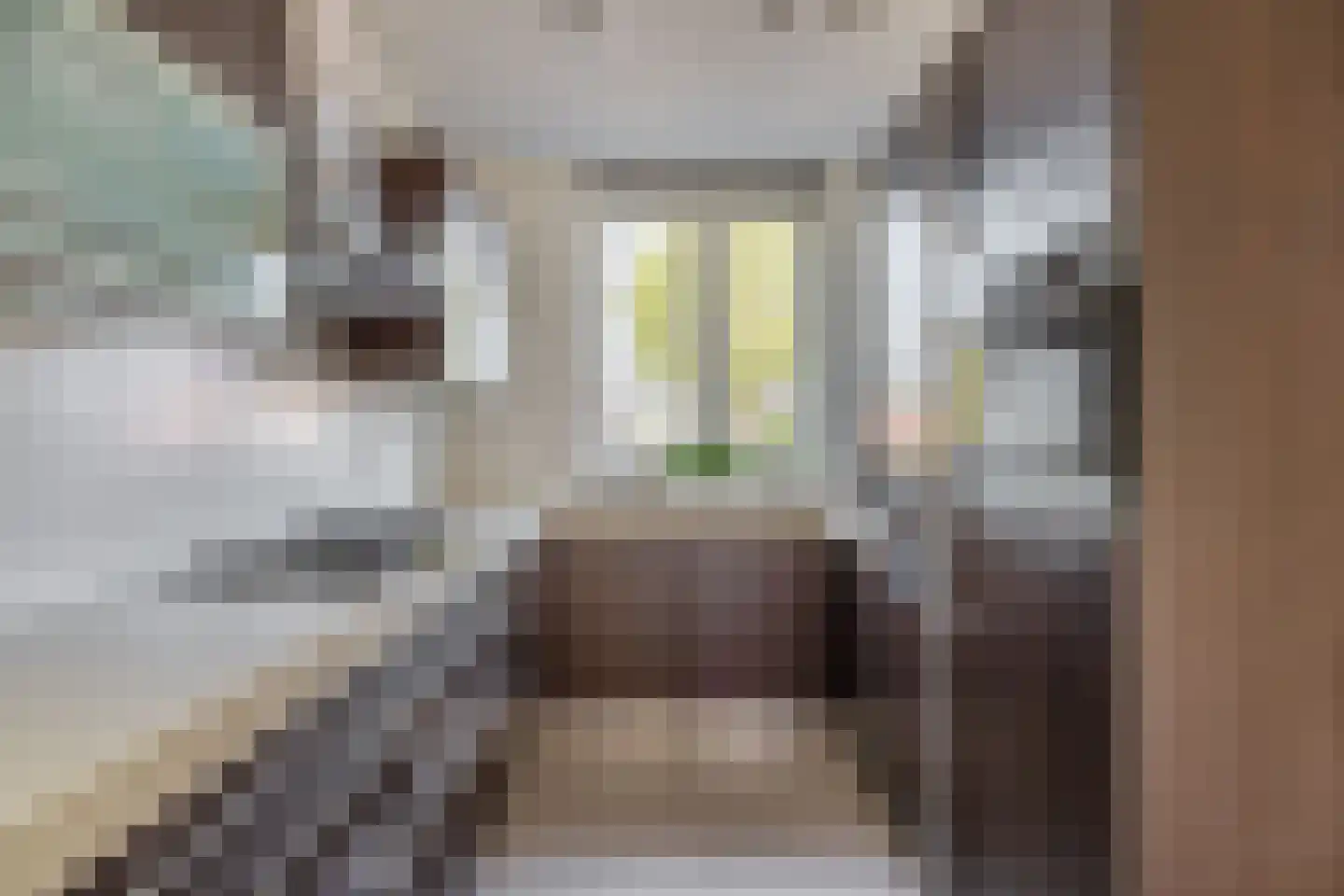 Sommelsdijkse Haven 8 Sommelsdijk thumbnail 16